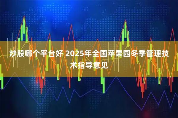炒股哪个平台好 2025年全国苹果园冬季管理技术指导意见