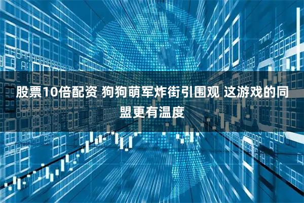 股票10倍配资 狗狗萌军炸街引围观 这游戏的同盟更有温度