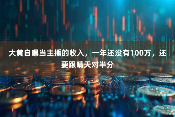 大黄自曝当主播的收入，一年还没有100万，还要跟晴天对半分
