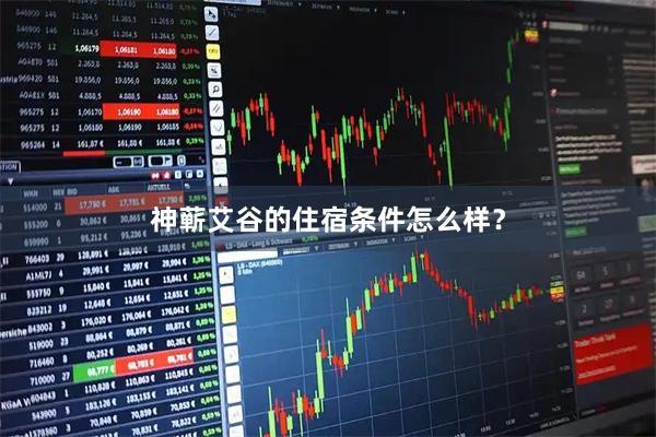 神蕲艾谷的住宿条件怎么样？