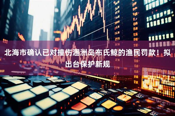 北海市确认已对撞伤涠洲岛布氏鲸的渔民罚款！拟出台保护新规